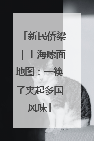 新民侨梁｜上海嗦面地图：一筷子夹起多国风味