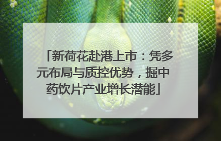 新荷花赴港上市：凭多元布局与质控优势，掘中药饮片产业增长潜能