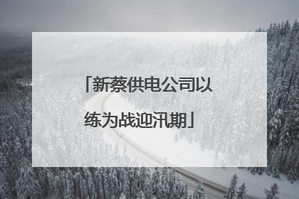 新蔡供电公司以练为战迎汛期