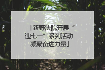 新野法院开展“迎七一”系列活动 凝聚奋进力量