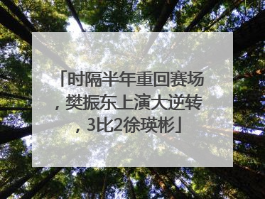 时隔半年重回赛场，樊振东上演大逆转，3比2徐瑛彬