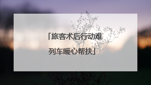 旅客术后行动难 列车暖心帮扶