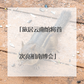 旅居云南馆将首次亮相南博会