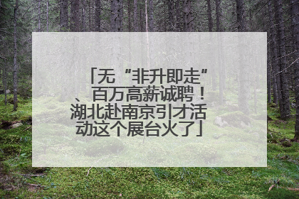 无“非升即走”、百万高薪诚聘！湖北赴南京引才活动这个展台火了