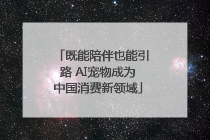 既能陪伴也能引路 AI宠物成为中国消费新领域