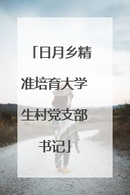日月乡精准培育大学生村党支部书记