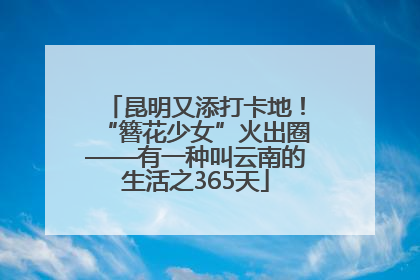 昆明又添打卡地！“簪花少女”火出圈——有一种叫云南的生活之365天