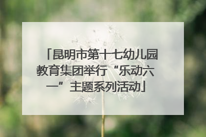 昆明市第十七幼儿园教育集团举行“乐动六一”主题系列活动