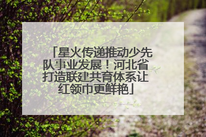 星火传递推动少先队事业发展！河北省打造联建共育体系让红领巾更鲜艳
