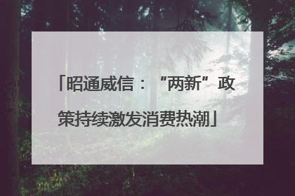昭通威信：“两新”政策持续激发消费热潮