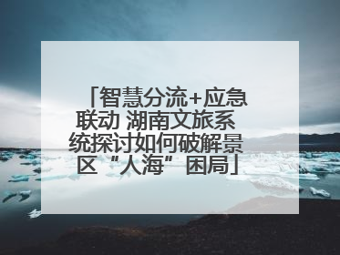 智慧分流+应急联动 湖南文旅系统探讨如何破解景区“人海”困局