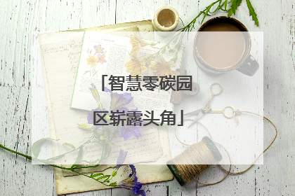 智慧零碳园区崭露头角