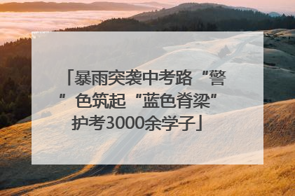 暴雨突袭中考路“警”色筑起“蓝色脊梁”护考3000余学子