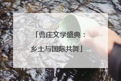 曹庄文学盛典：乡土与国际共舞