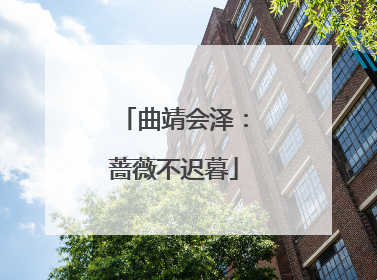 曲靖会泽：蔷薇不迟暮