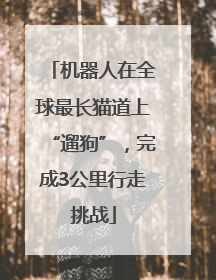 机器人在全球最长猫道上“遛狗”，完成3公里行走挑战