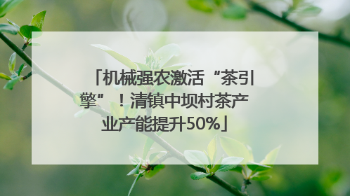 机械强农激活“茶引擎”！清镇中坝村茶产业产能提升50%