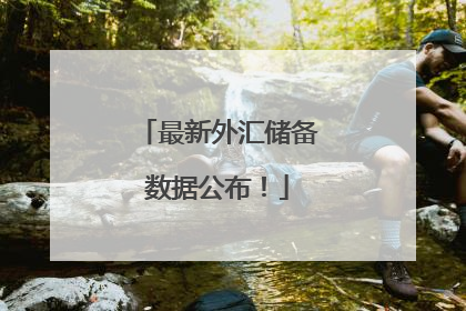 最新外汇储备数据公布！