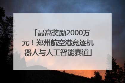 最高奖励2000万元！郑州航空港竞逐机器人与人工智能赛道