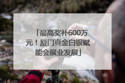 最高奖补600万元！厦门真金白银赋能会展业发展