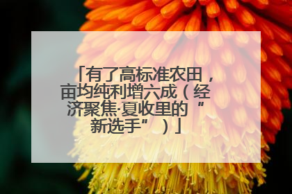 有了高标准农田，亩均纯利增六成（经济聚焦·夏收里的“新选手”）