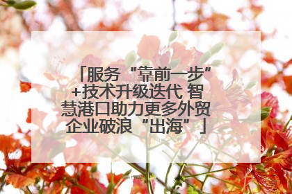 服务“靠前一步”+技术升级迭代 智慧港口助力更多外贸企业破浪“出海”