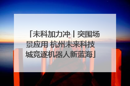 未科加力冲丨突围场景应用 杭州未来科技城竞逐机器人新蓝海