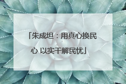 朱成坦：用真心换民心 以实干解民忧