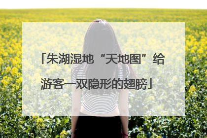 朱湖湿地“天地图”给游客一双隐形的翅膀