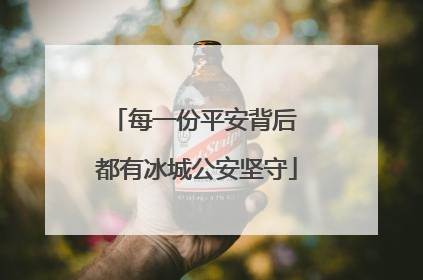 每一份平安背后 都有冰城公安坚守