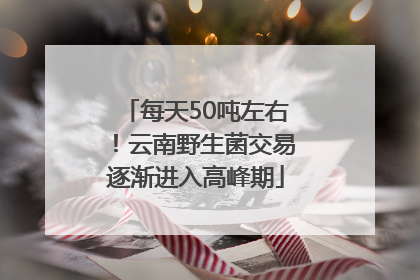 每天50吨左右！云南野生菌交易逐渐进入高峰期