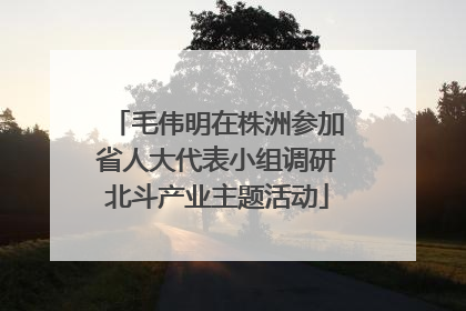 毛伟明在株洲参加省人大代表小组调研北斗产业主题活动