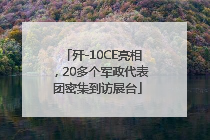 歼-10CE亮相，20多个军政代表团密集到访展台