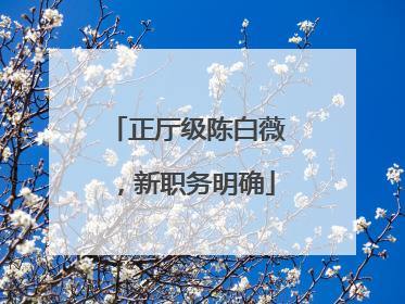 正厅级陈白薇，新职务明确