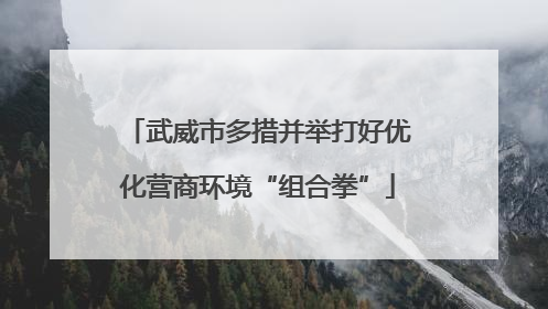 武威市多措并举打好优化营商环境“组合拳”