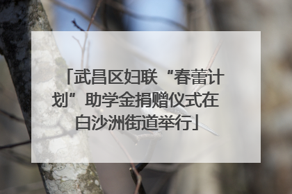 武昌区妇联“春蕾计划”助学金捐赠仪式在白沙洲街道举行