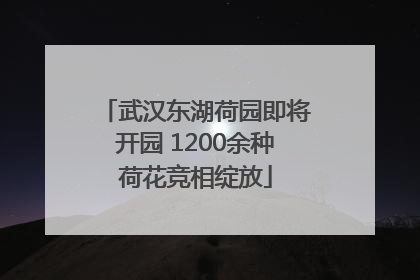 武汉东湖荷园即将开园 1200余种荷花竞相绽放