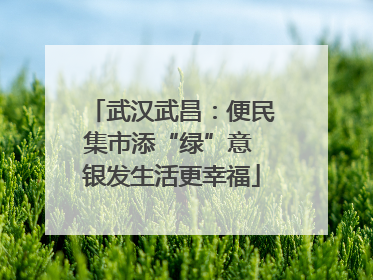 武汉武昌：便民集市添“绿”意 银发生活更幸福