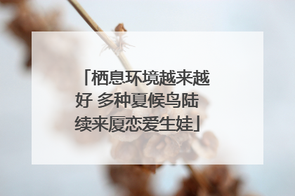 栖息环境越来越好 多种夏候鸟陆续来厦恋爱生娃