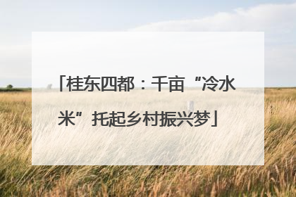 桂东四都：千亩“冷水米”托起乡村振兴梦