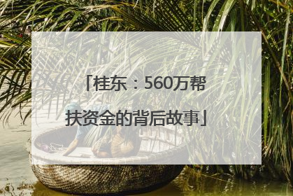 桂东：560万帮扶资金的背后故事