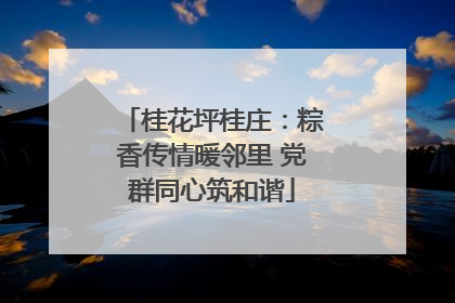 桂花坪桂庄：粽香传情暖邻里 党群同心筑和谐