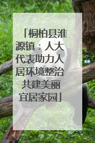 桐柏县淮源镇：人大代表助力人居环境整治 共建美丽宜居家园