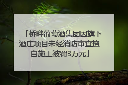 桥畔葡萄酒集团因旗下酒庄项目未经消防审查擅自施工被罚3万元