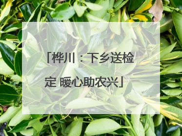 桦川：下乡送检定 暖心助农兴