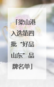 梁山港入选第四批“好品山东”品牌名单
