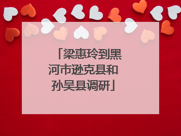 梁惠玲到黑河市逊克县和孙吴县调研