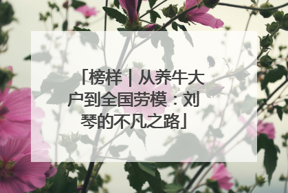 榜样｜从养牛大户到全国劳模：刘琴的不凡之路