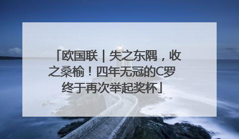 欧国联｜失之东隅，收之桑榆！四年无冠的C罗终于再次举起奖杯