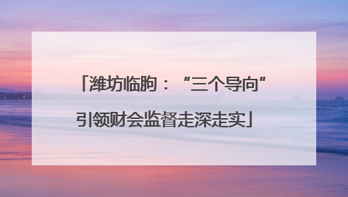 潍坊临朐：“三个导向”引领财会监督走深走实